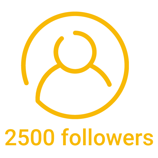 2500 instagram followers