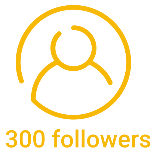 300 instagram followers