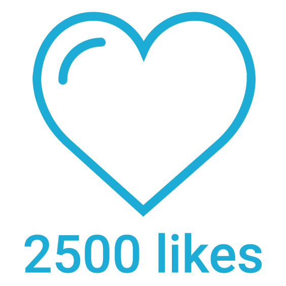 2500 instagram likes